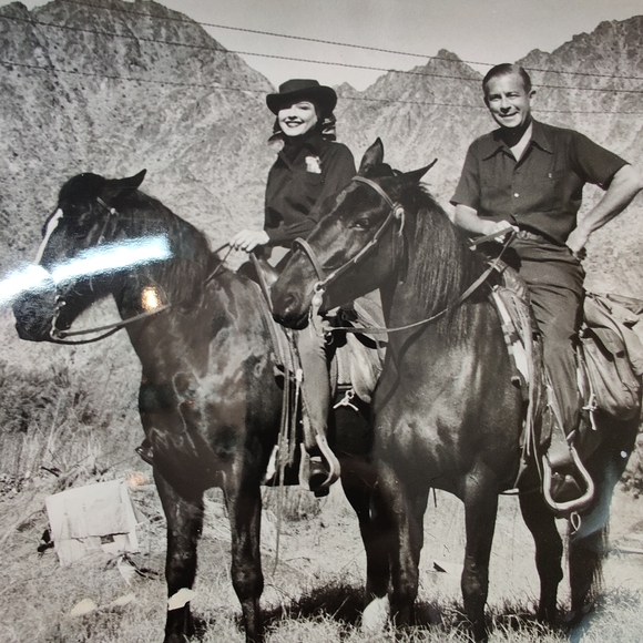 Vintage Riding Hat by Bergdorf Goodman 1940s - Picture 15 of 16